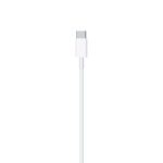 USB-C to Lightning Cable 1-100