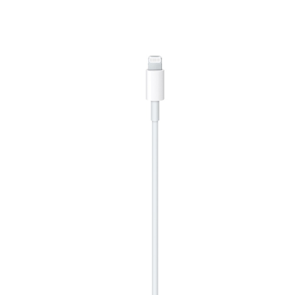 USB-C to Lightning Cable 3-100